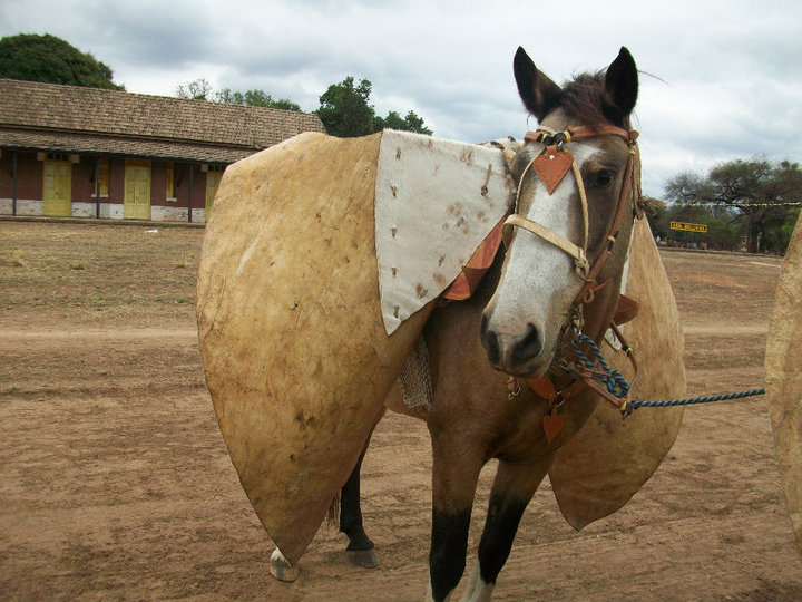 gauchos7.jpg
