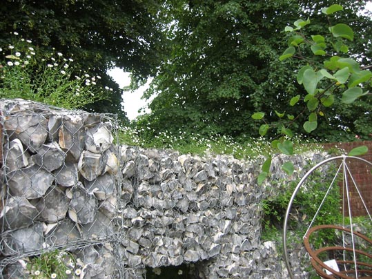 gavionIMG_8106.jpg