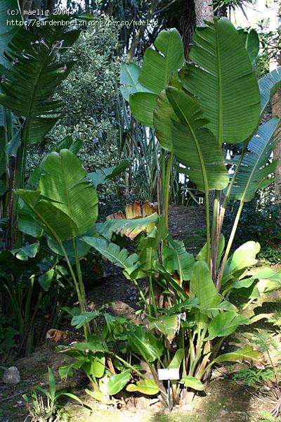 GBDB_photo_115.jpg