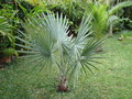 GBPIX_vignette_154042.jpg