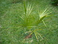 GBPIX_vignette_179557.jpg