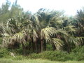 GBPIX_vignette_207122.jpg