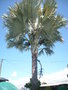 GBPIX_vignette_299390.jpg