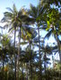 GBPIX_vignette_377890.jpg