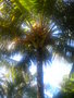 GBPIX_vignette_377910.jpg