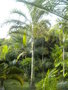 GBPIX_vignette_380967.jpg