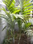 GBPIX_vignette_404966.jpg