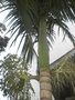 GBPIX_vignette_404984.jpg