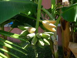 GBPIX_vignette_40718.jpg