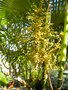 GBPIX_vignette_412693.jpg