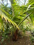 GBPIX_vignette_429628.jpg