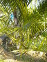 GBPIX_vignette_429637.jpg