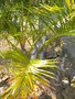 GBPIX_vignette_429638.jpg