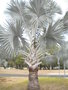 GBPIX_vignette_430609.jpg