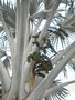 GBPIX_vignette_430610.jpg