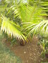 GBPIX_vignette_434118.jpg