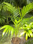 GBPIX_vignette_486685.jpg