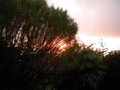 GBPIX_vignette_502186.jpg