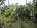 GBPIX_vignette_503809.jpg