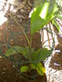 GBPIX_vignette_504779.jpg