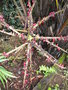 GBPIX_vignette_515577.jpg