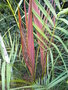 GBPIX_vignette_533183.jpg