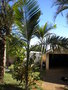 GBPIX_vignette_574079.jpg