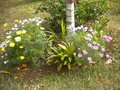 GBPIX_vignette_600471.jpg