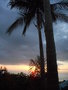 GBPIX_vignette_648348.jpg