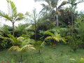 GBPIX_vignette_654057.jpg