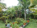 GBPIX_vignette_654059.jpg