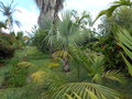 GBPIX_vignette_654062.jpg