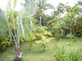 GBPIX_vignette_654065.jpg