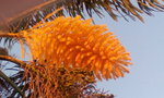 GBPIX_vignette_750589.jpg