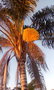 GBPIX_vignette_750592.jpg