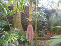 GBPIX_vignette_812238.jpg