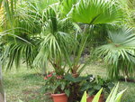 GBPIX_vignette_82109.jpg