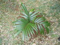 GBPIX_vignette_830690.jpg