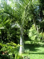 GBPIX_vignette_87108.jpg