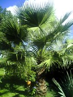 GBPIX_vignette_87112.jpg