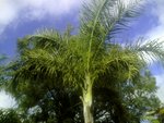 GBPIX_vignette_87999.jpg
