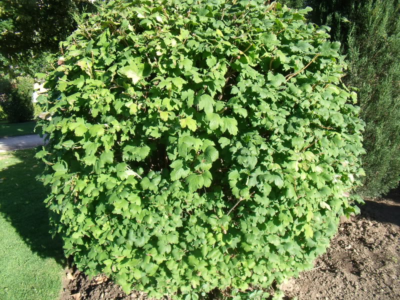 GEDC0027.jpg