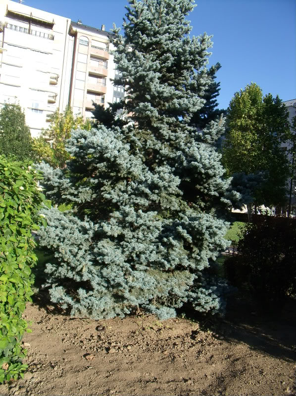 GEDC0030.jpg