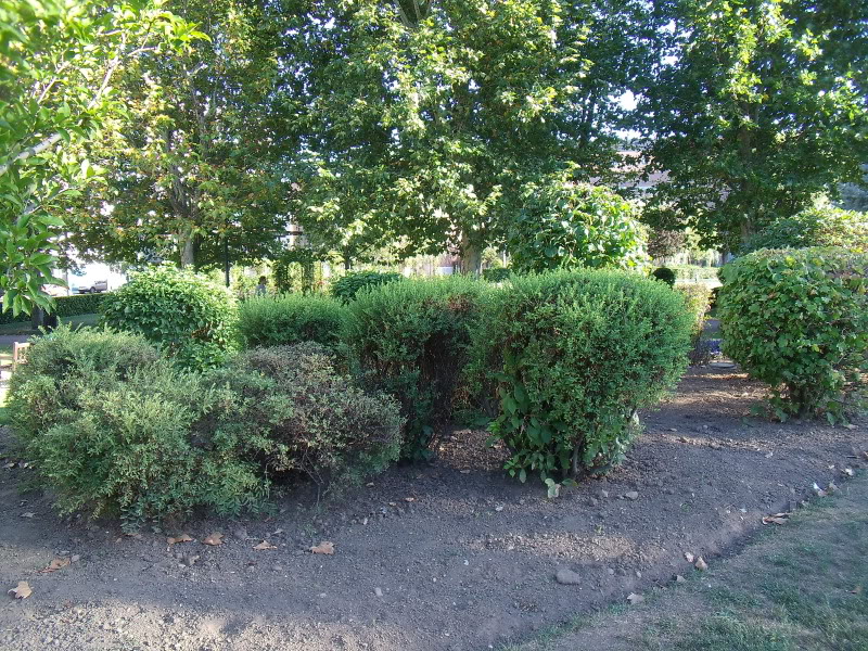 GEDC0037.jpg