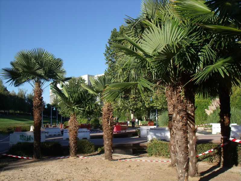GEDC0045-1.jpg