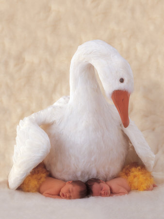 geddes-anne-mama-oca.jpg