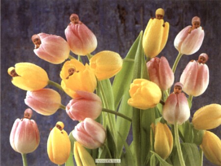 geddes-anne-tulips-6600048.jpg