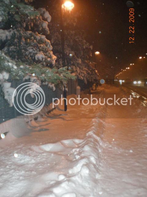 Gelicidio22DIC2009003_zps446b8099.jpg