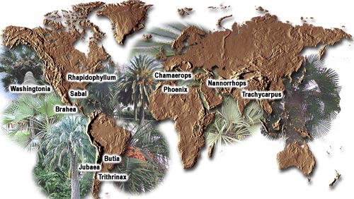 genre-map400.jpg
