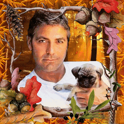 george%20(11)%5B5%5D.gif